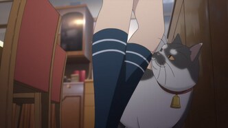 BG