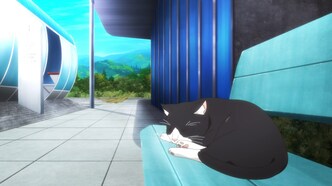 BG