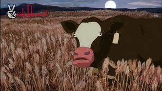 Ачи & Сипак: Убойный дуэт
