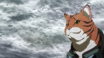 Ночь живых кошаков