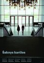 Фильм «Saknys karcios» смотреть онлайн фильм в хорошем качестве 720p