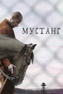 Фильм «Мустанг» смотреть онлайн фильм в хорошем качестве 720p