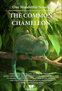 Мультфильм «Our Wonderful Nature - The Common Chameleon» смотреть онлайн в хорошем качестве 720p