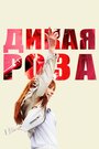 Фильм «Дикая Роза» смотреть онлайн фильм в хорошем качестве 1080p