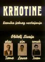 Krhotine