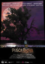 Фильм «Pusca Bistra» смотреть онлайн фильм в хорошем качестве 720p