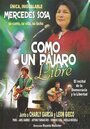 Фильм «Mercedes Sosa: como un pájaro libre» смотреть онлайн фильм в хорошем качестве 1080p