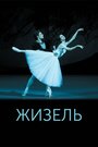 «Жизель» трейлер фильма в хорошем качестве 1080p