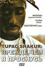 Фильм «Tupac Shakur: Прежде, чем я проснусь» смотреть онлайн фильм в хорошем качестве 720p