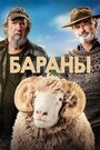 Фильм «Бараны» смотреть онлайн фильм в хорошем качестве 720p