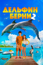 Фильм «Дельфин Берни 2» смотреть онлайн фильм в хорошем качестве 720p