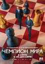 Фильм «Чемпион мира» смотреть онлайн фильм в хорошем качестве 720p