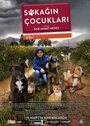 Фильм «Sokagin Çocuklari» смотреть онлайн фильм в хорошем качестве 1080p