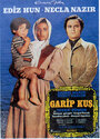 Фильм «Garip kus» смотреть онлайн фильм в хорошем качестве 720p