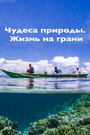 Фильм «Чудеса природы. Жизнь на грани» скачать бесплатно в хорошем качестве без регистрации и смс 1080p