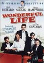 Фильм «Wonderful Life» смотреть онлайн фильм в хорошем качестве 720p