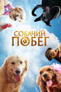 Фильм «Собачий побег» смотреть онлайн фильм в хорошем качестве 720p