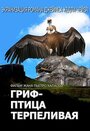 «Гриф – птица терпеливая» кадры фильма в хорошем качестве