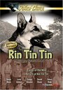 Фильм «The Return of Rin Tin Tin» смотреть онлайн фильм в хорошем качестве 720p