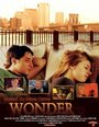 Wonder