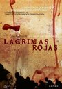 Фильм «Risos e Lágrimas» смотреть онлайн фильм в хорошем качестве 720p