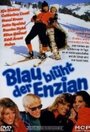 Фильм «Blau blüht der Enzian» смотреть онлайн фильм в хорошем качестве 720p