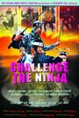 Challenge of the Ninja