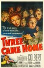 Фильм «Three Came Home» смотреть онлайн фильм в хорошем качестве 720p