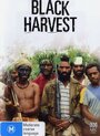 «Black Harvest» трейлер фильма в хорошем качестве 1080p