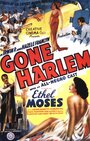 «Gone Harlem» кадры фильма в хорошем качестве