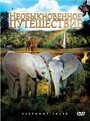 Фильм «Необыкновенное путешествие: История про двух слонят» смотреть онлайн фильм в хорошем качестве 720p