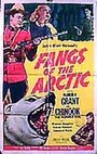 Фильм «Fangs of the Arctic» смотреть онлайн фильм в хорошем качестве 720p