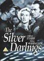 Фильм «The Silver Darlings» смотреть онлайн фильм в хорошем качестве 720p