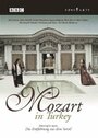 Фильм «Mozart in Turkey» смотреть онлайн фильм в хорошем качестве 720p