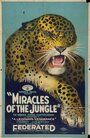 Фильм «Miracles of the Jungle» скачать бесплатно в хорошем качестве без регистрации и смс 1080p