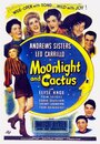 «Moonlight and Cactus» трейлер фильма в хорошем качестве 1080p