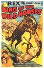 Фильм «The King of Wild Horses» скачать бесплатно в хорошем качестве без регистрации и смс 1080p