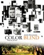 Фильм «Color Blind» смотреть онлайн фильм в хорошем качестве 1080p