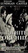 Фильм «The White Orchid» скачать бесплатно в хорошем качестве без регистрации и смс 1080p