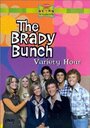 Фильм «The Brady Bunch Variety Hour» скачать бесплатно в хорошем качестве без регистрации и смс 1080p