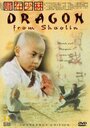 Фильм «Long zai Shaolin» смотреть онлайн фильм в хорошем качестве 720p