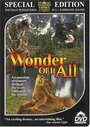 «Wonder of It All» кадры фильма в хорошем качестве