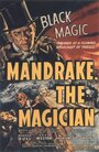 Фильм «Mandrake, the Magician» скачать бесплатно в хорошем качестве без регистрации и смс 1080p