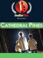 Фильм «Cathedral Pines» смотреть онлайн фильм в хорошем качестве 1080p