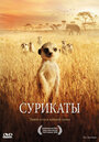 Фильм «Сурикаты» смотреть онлайн фильм в хорошем качестве 1080p