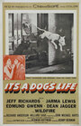 Фильм «It's a Dog's Life» смотреть онлайн фильм в хорошем качестве 1080p