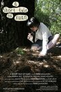 Фильм «A Short Tale of Xuan» скачать бесплатно в хорошем качестве без регистрации и смс 1080p