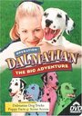 Фильм «Operation Dalmatian: The Big Adventure» скачать бесплатно в хорошем качестве без регистрации и смс 1080p