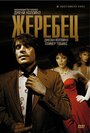 «Жеребец» трейлер фильма в хорошем качестве 1080p