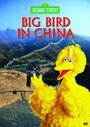 Фильм «Big Bird in China» скачать бесплатно в хорошем качестве без регистрации и смс 1080p